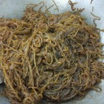 IMG_20181003_123510_HHT(FILEminimizer)