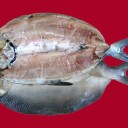 VCD Bandeng Cabut Duri – Teknik & Resep
